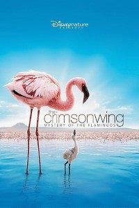 Download The Crimson Wing (2008) Dual Audio (Hindi-English)