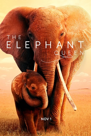 Download The Elephant Queen (2019) WEB-DL Dual Audio (Hindi-English)