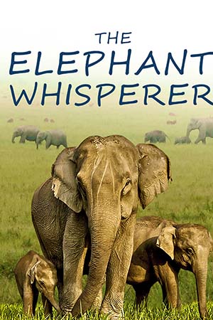 Download The Elephant Whisperers (2022) WEB-DL Dual Audio (Hindi + English) 4K