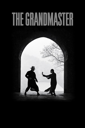 Download  The Grandmaster (2013) WEB-DL MULTi-Audio {Hindi-English-Chinese} 480p [470MB] | 720p [1.3GB] | 1080p [2.6GB] Full-Movie