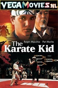 Download  The Karate Kid (1984) Dual Audio {Hindi-English} 480p [400MB] | 720p [1GB] | 1080p [4GB]