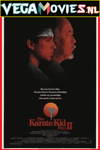 Download  The Karate Kid Part 2 (1986) Dual Audio {Hindi-English} 480p [400MB] | 720p [820MB] | 1080p [3GB]