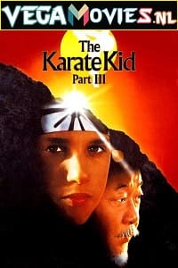 Download  The Karate Kid Part 3 (1989) Dual Audio {Hindi-English} 480p [400MB] | 720p [850MB] | 1080p [3.7GB]