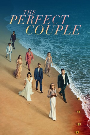 Download  The Perfect Couple (2024) Season 1 Dual Audio {Hindi-English} NetFlix WEB Series 1080p & 720p WEB-DL