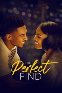 Download  The Perfect Find (2023) Netflix Original Dual Audio {Hindi-English} 480p [350MB] | 720p [900MB] | 1080p [2GB] WEB-DL