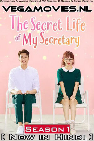 Download The Secret Life of My Secretary (Season 1) Hindi Dubbed Complete K-Drama Series WEB-DL