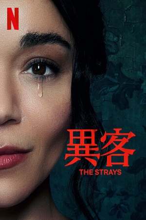  The Strays – Netflix Original (2023) WEB-DL Dual Audio {Hindi-English} 480p [300MB] | 720p [650MB] | 1080p [1.3GB]