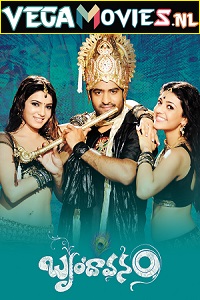 Download The Super Khiladi – Brindavanam (2010) Hindi Dubbed Full Movie