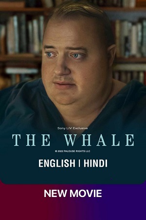 Download  The Whale (2022) WEB-DL [Hindi ORG – English] Full Movie 480p [350MB] | 720p [1.3GB] | 1080p [3.3GB]