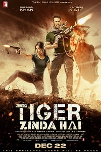 Download Tiger Zinda Hai (2017) BluRay Hindi Full Movie