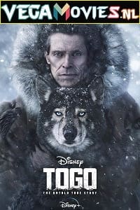 Download Togo (2019) Full Movie (English with Subtitles) WEB-DL