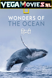 Download  Wonders of the Ocean (2021) Season 1 Hindi Complete DSNP WEB Series 480p | 720p HDRip