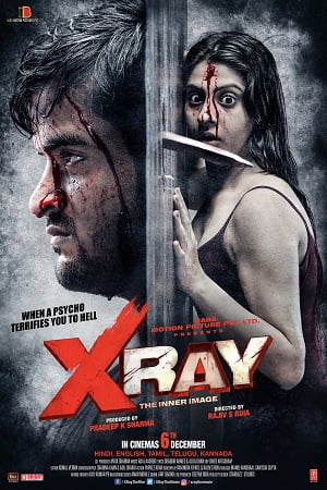 Download X Ray: The Inner Image (2019) Hindi Full Movie HDRip