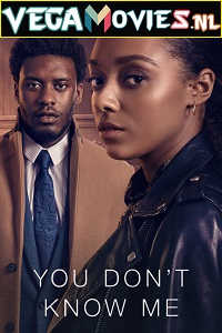 Download You Don’t Know Me (Season 1) Dual Audio Complete Netflix Web Series WEB-DL