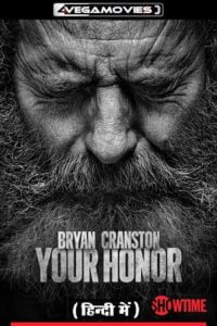 Download Your Honor (Season 1 – 2) Dual Audio Complete Series WEB-DL