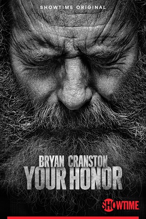 Download Your Honor (Season 1 – 2) Dual Audio WEB Series WEB-DL