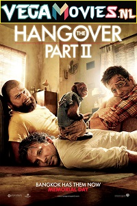 Download The Hangover Part 2 (2011) Dual Audio (Hindi-English)